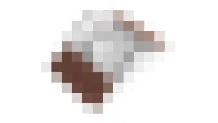 Lijster 16 Eijsden thumbnail 28