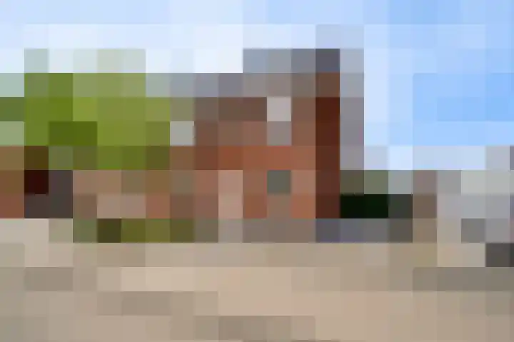 Lijster 16 Eijsden thumbnail 31