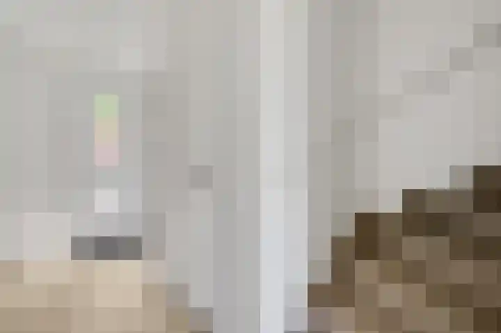 Lijster 16 Eijsden thumbnail 6