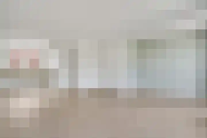 Lijster 16 Eijsden thumbnail 8