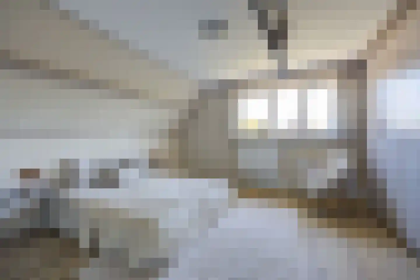Lijster 16 Etten-Leur thumbnail 29