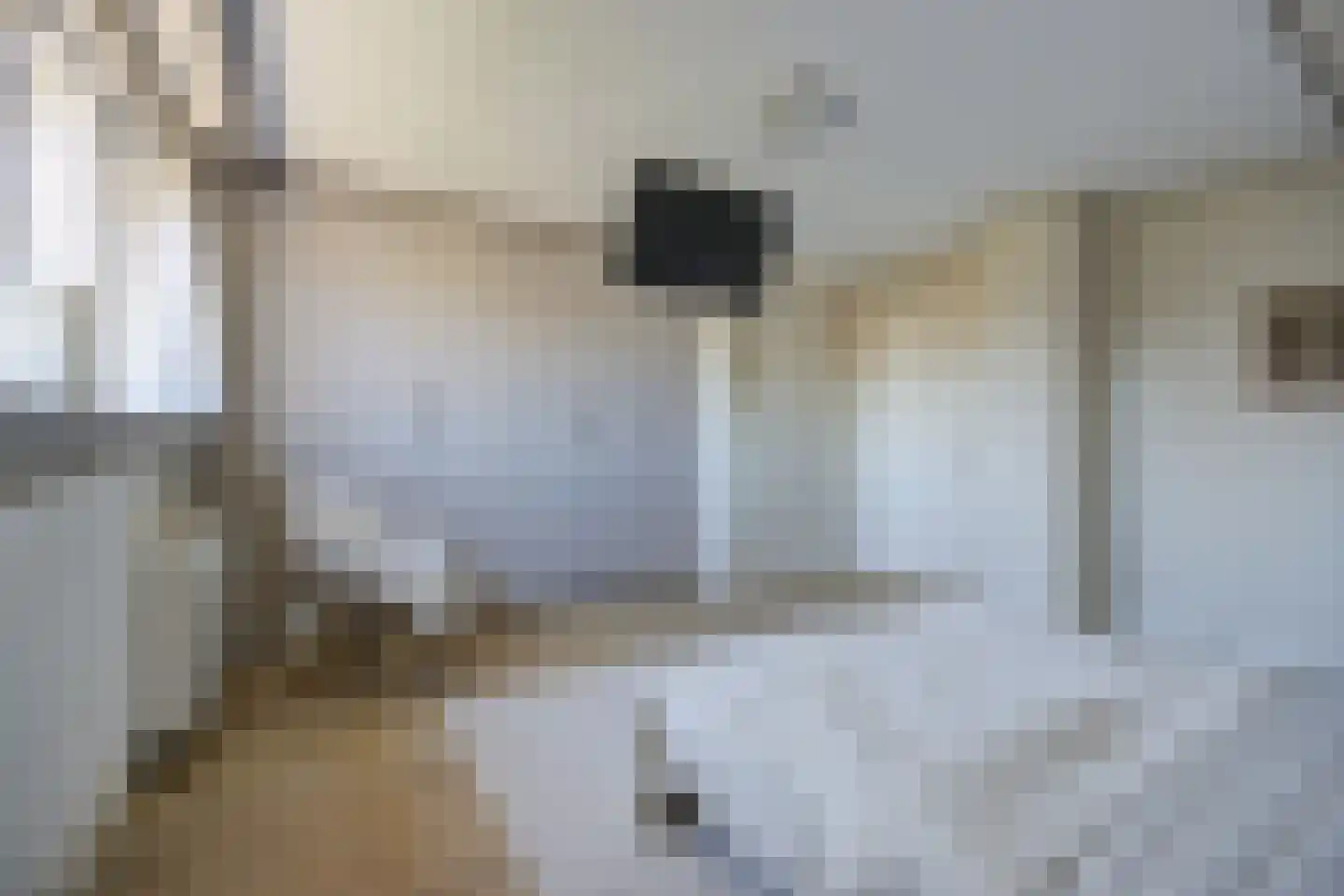 Lijster 16 Etten-Leur thumbnail 30