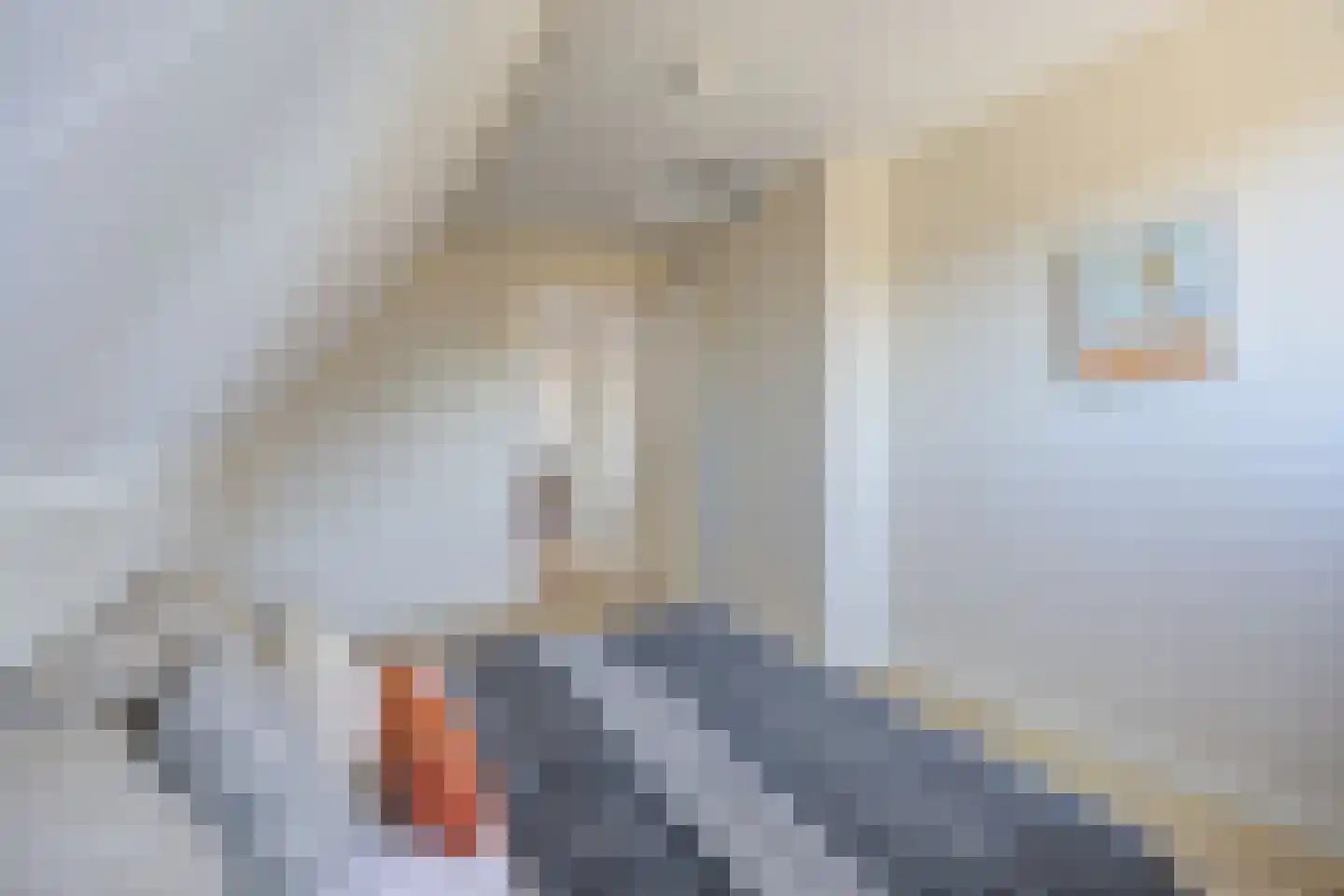 Lijster 16 Etten-Leur thumbnail 33