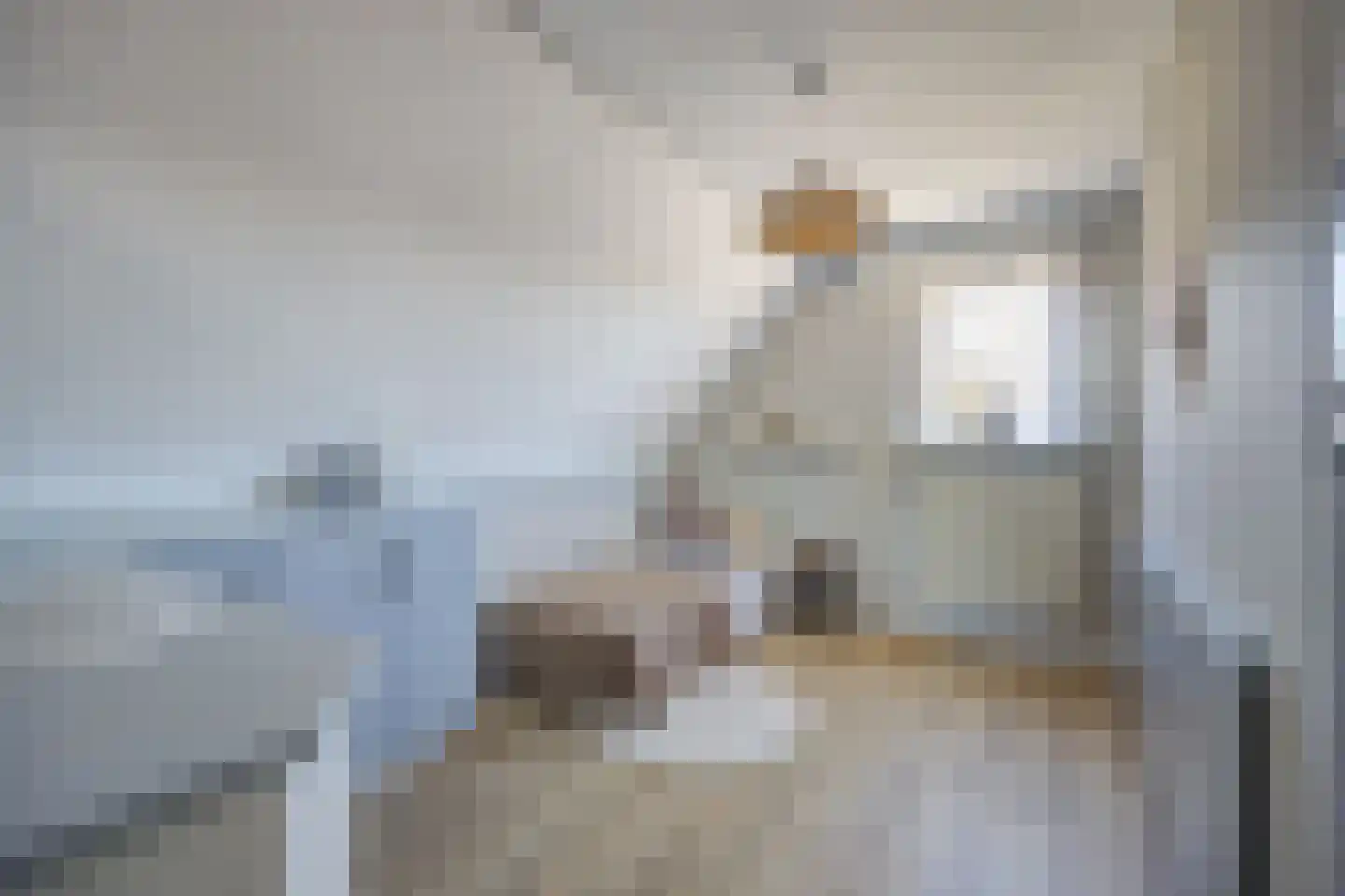 Lijster 16 Etten-Leur thumbnail 34