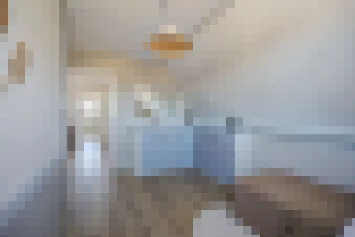 Lijster 16 Etten-Leur thumbnail 35