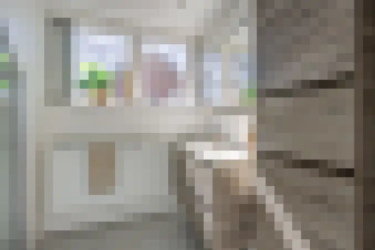 Lijster 16 Etten-Leur thumbnail 36