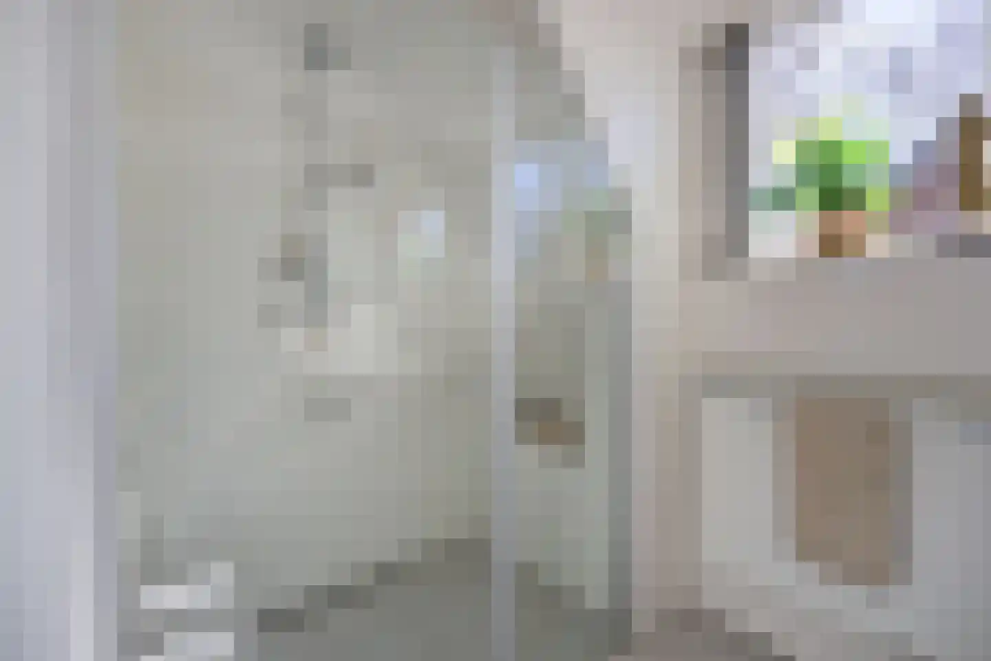 Lijster 16 Etten-Leur thumbnail 37