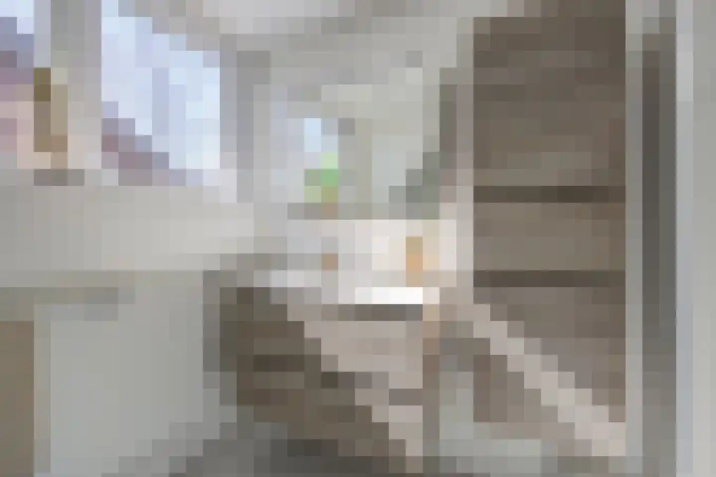 Lijster 16 Etten-Leur thumbnail 38