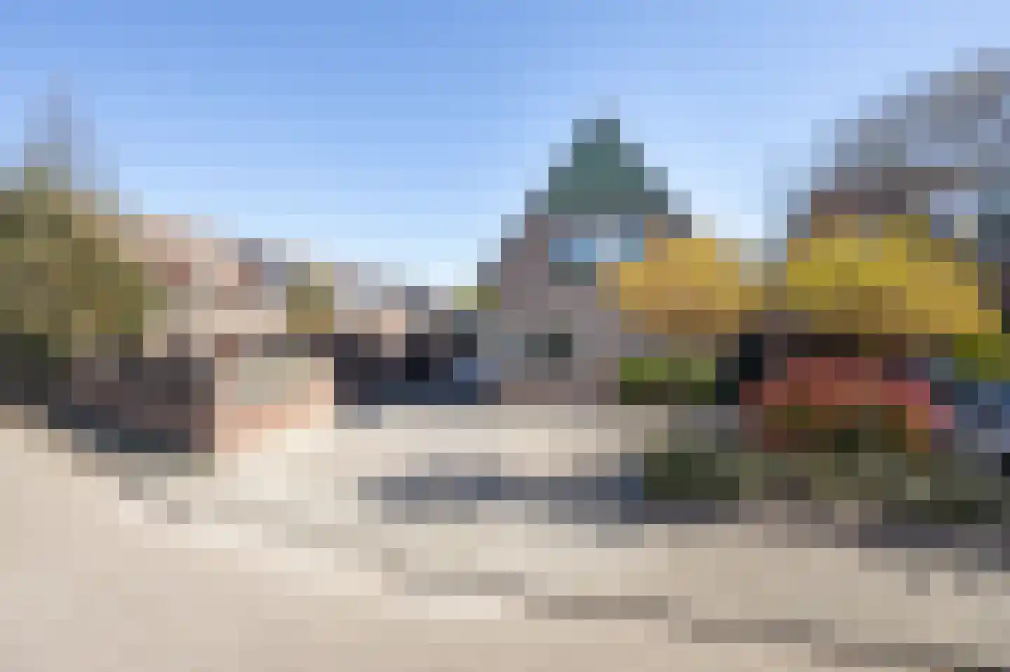 Lijster 16 Etten-Leur thumbnail 44