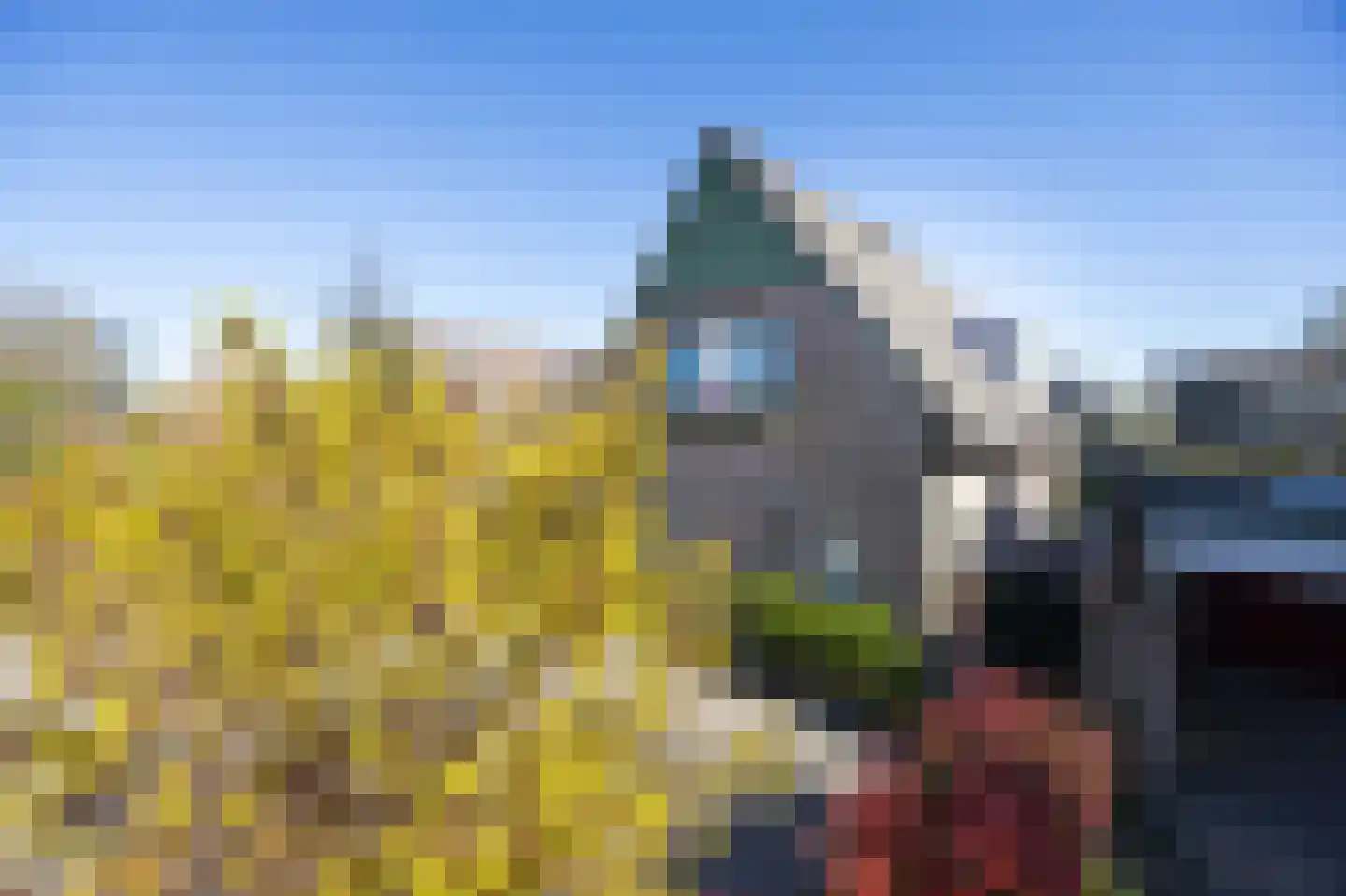 Lijster 16 Etten-Leur thumbnail 46
