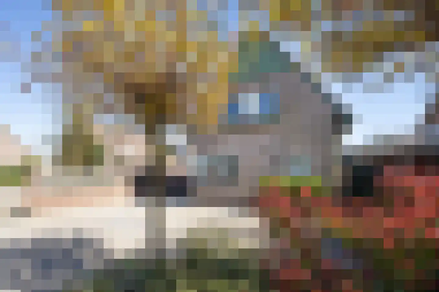 Lijster 16 Etten-Leur thumbnail 47