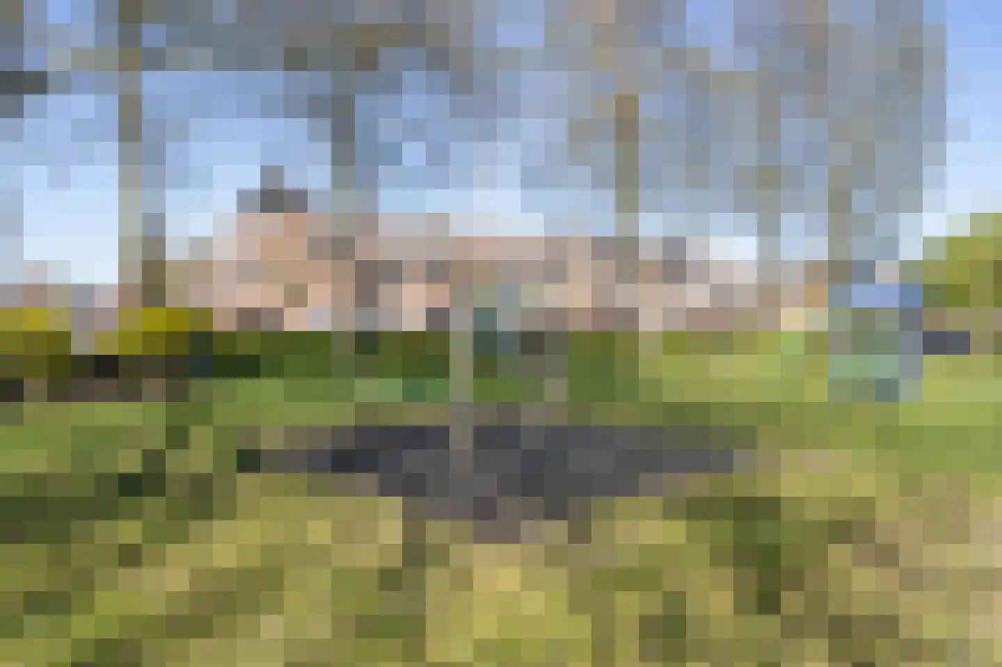 Lijster 16 Etten-Leur thumbnail 49