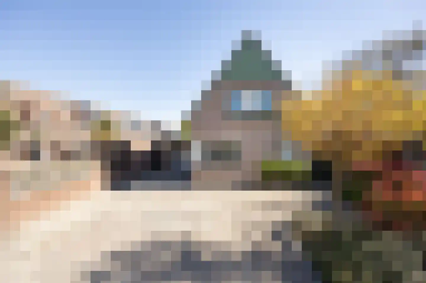 Lijster 16 Etten-Leur thumbnail 5