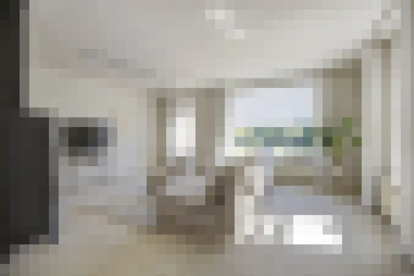 Lijster 16 Etten-Leur thumbnail 8