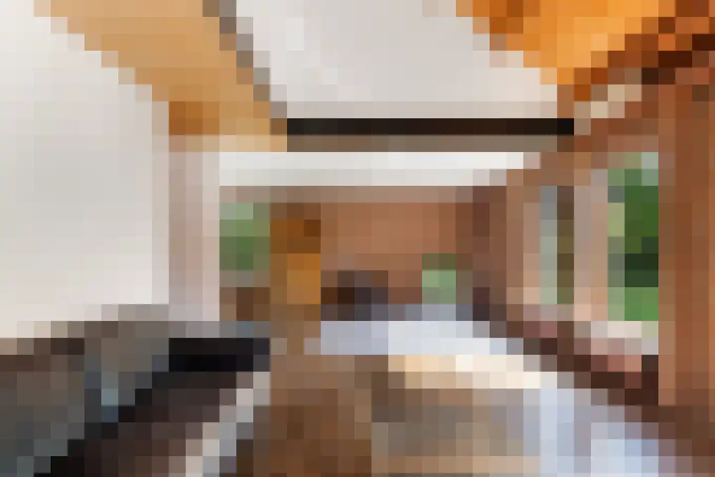 Lijster 16 Maasdam thumbnail 10