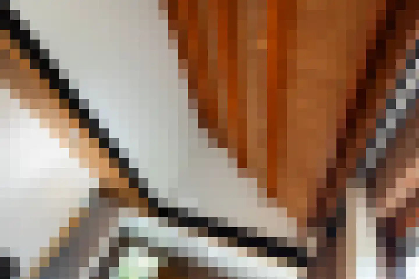 Lijster 16 Maasdam thumbnail 11