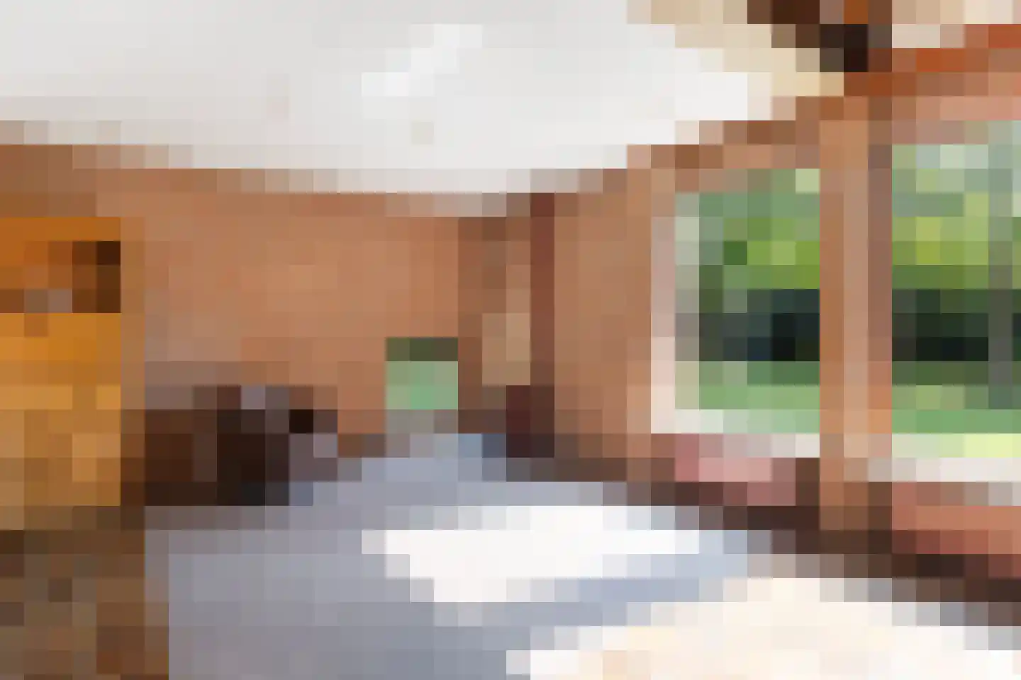 Lijster 16 Maasdam thumbnail 13