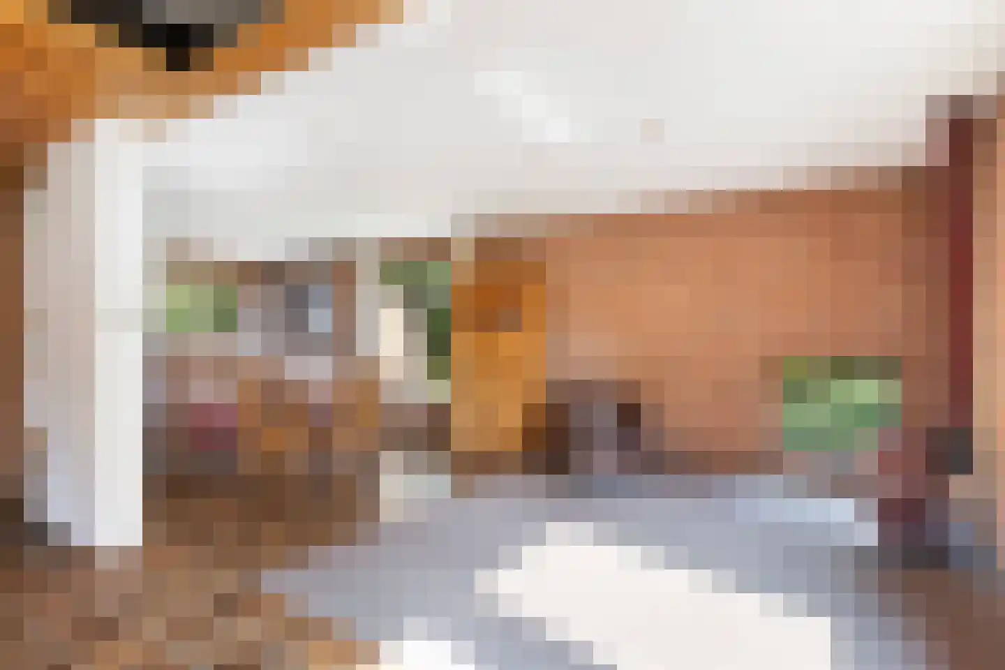 Lijster 16 Maasdam thumbnail 14