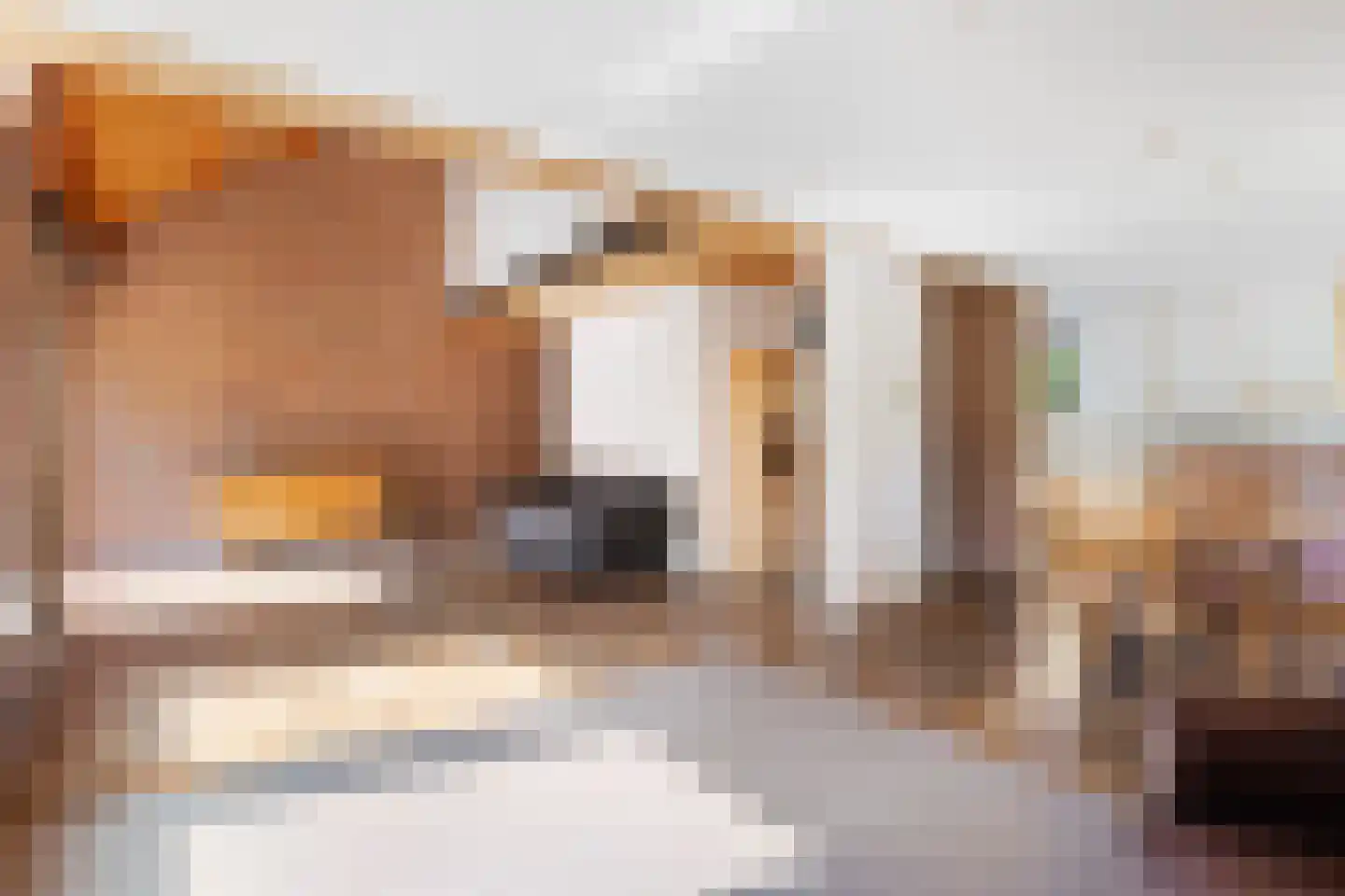 Lijster 16 Maasdam thumbnail 15