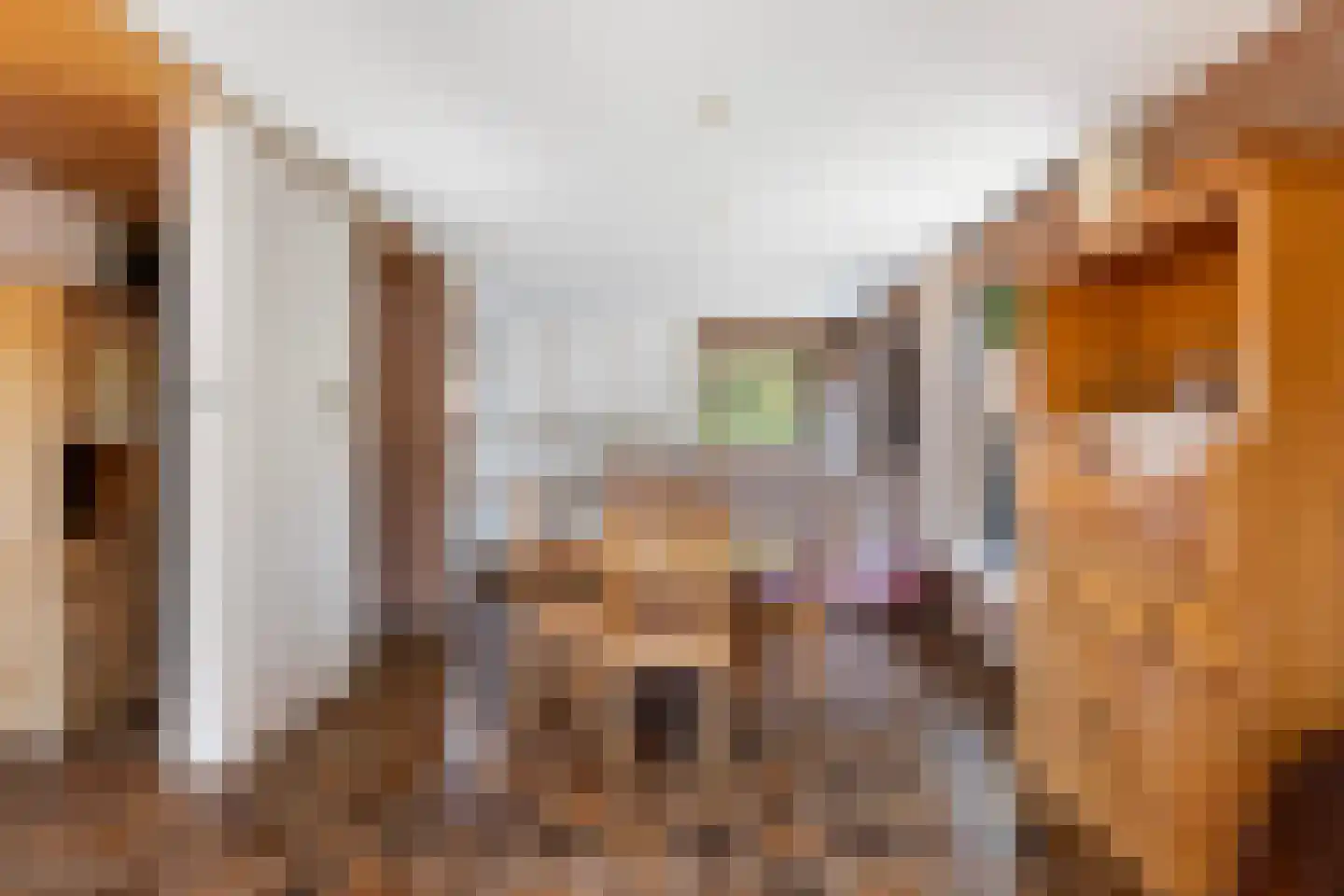 Lijster 16 Maasdam thumbnail 18