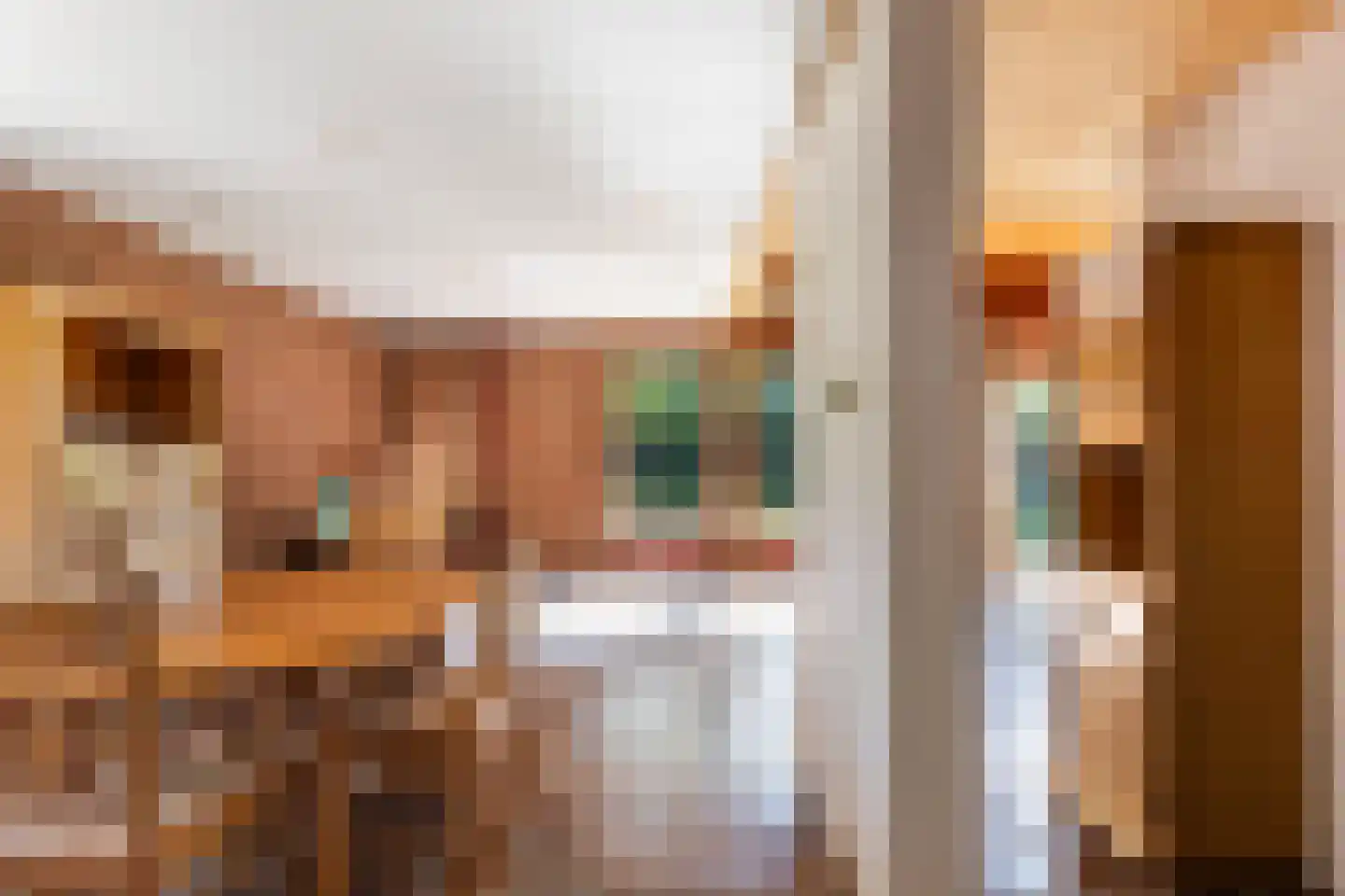 Lijster 16 Maasdam thumbnail 19