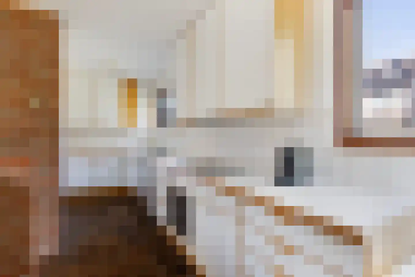 Lijster 16 Maasdam thumbnail 21
