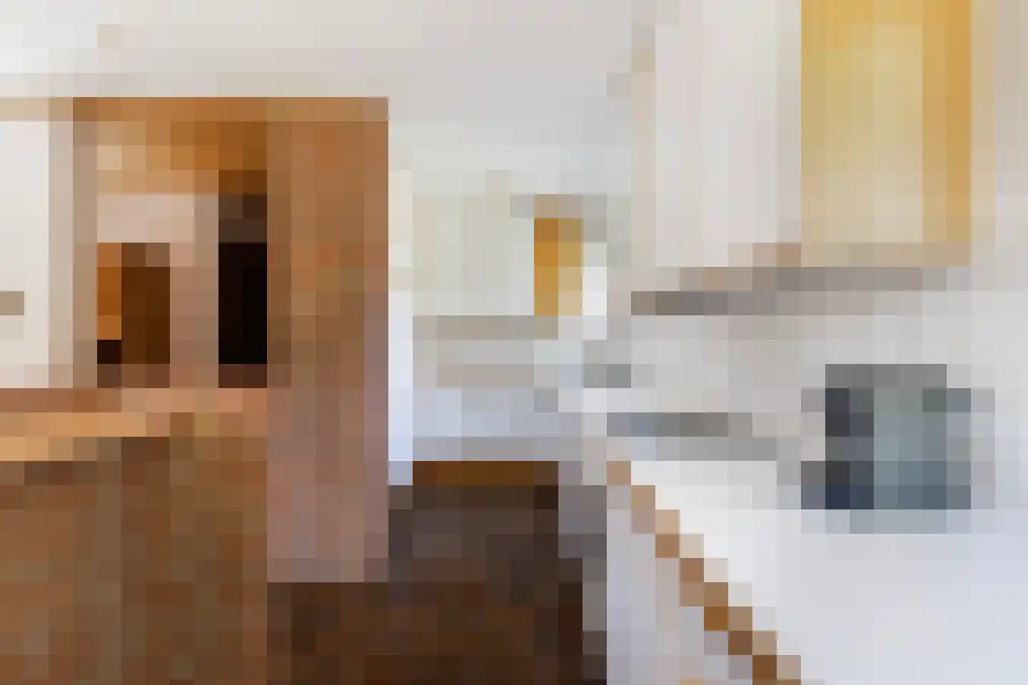Lijster 16 Maasdam thumbnail 22