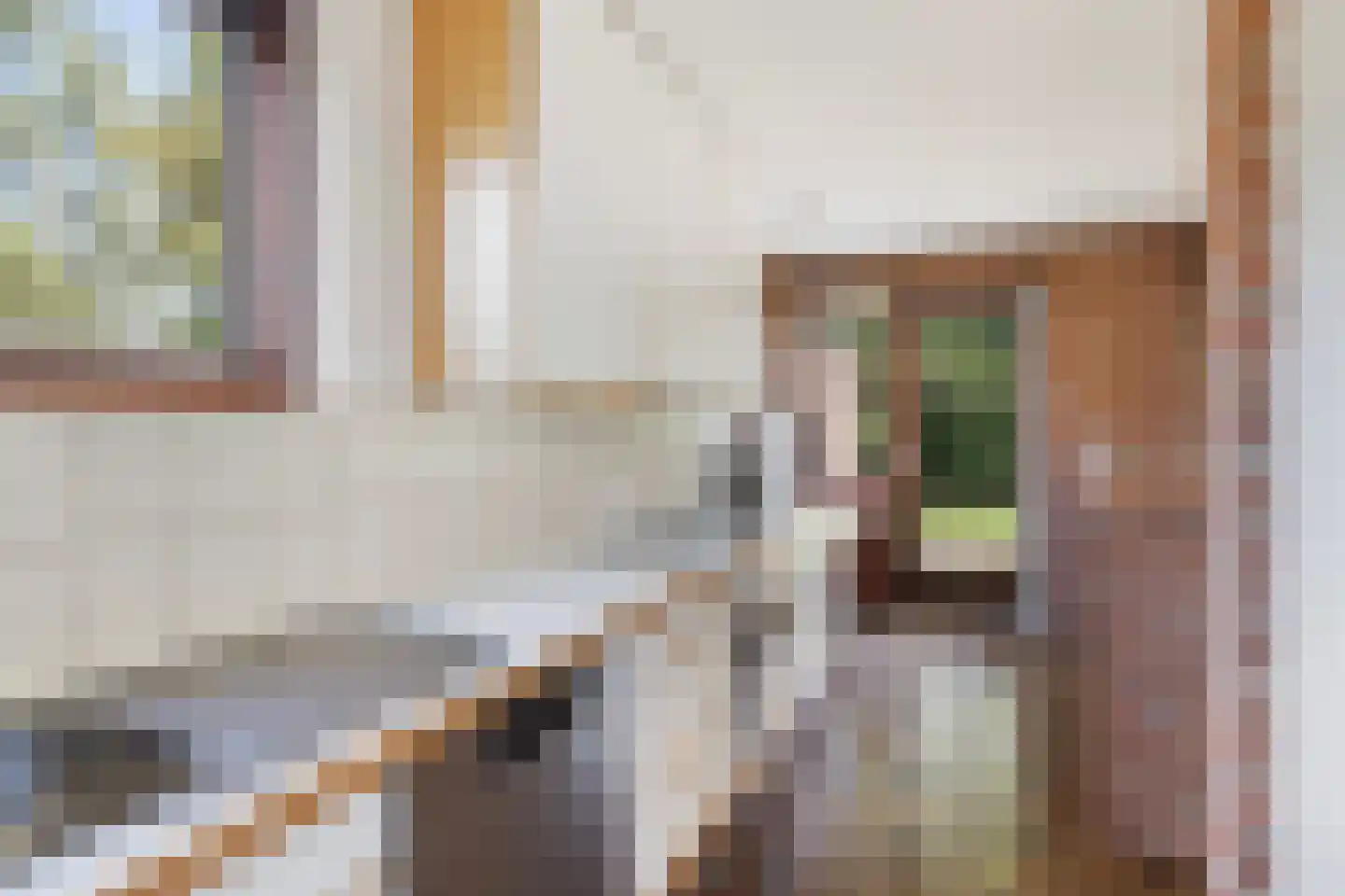 Lijster 16 Maasdam thumbnail 23