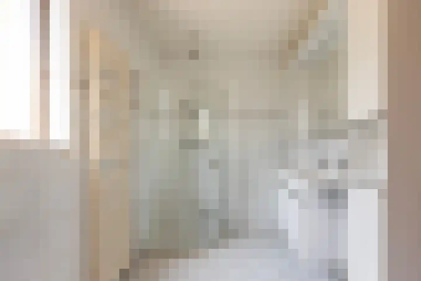 Lijster 16 Maasdam thumbnail 26