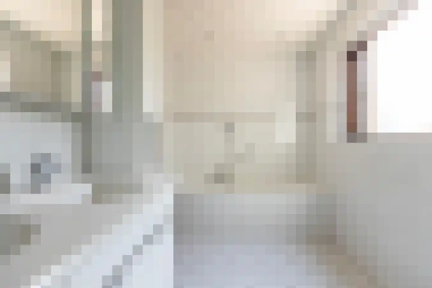 Lijster 16 Maasdam thumbnail 27