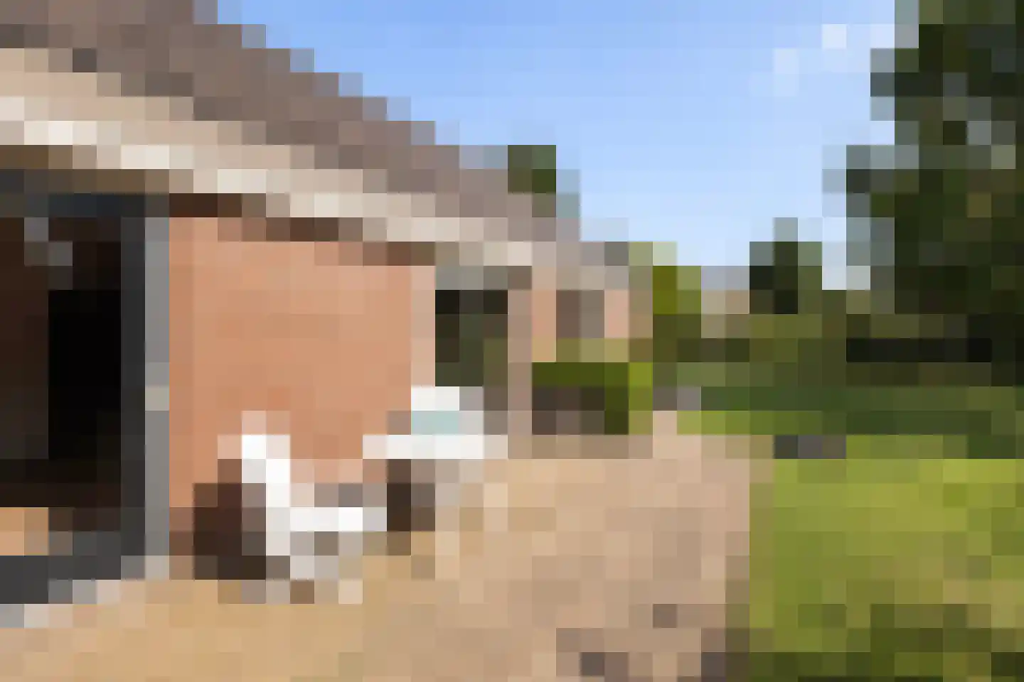 Lijster 16 Maasdam thumbnail 28