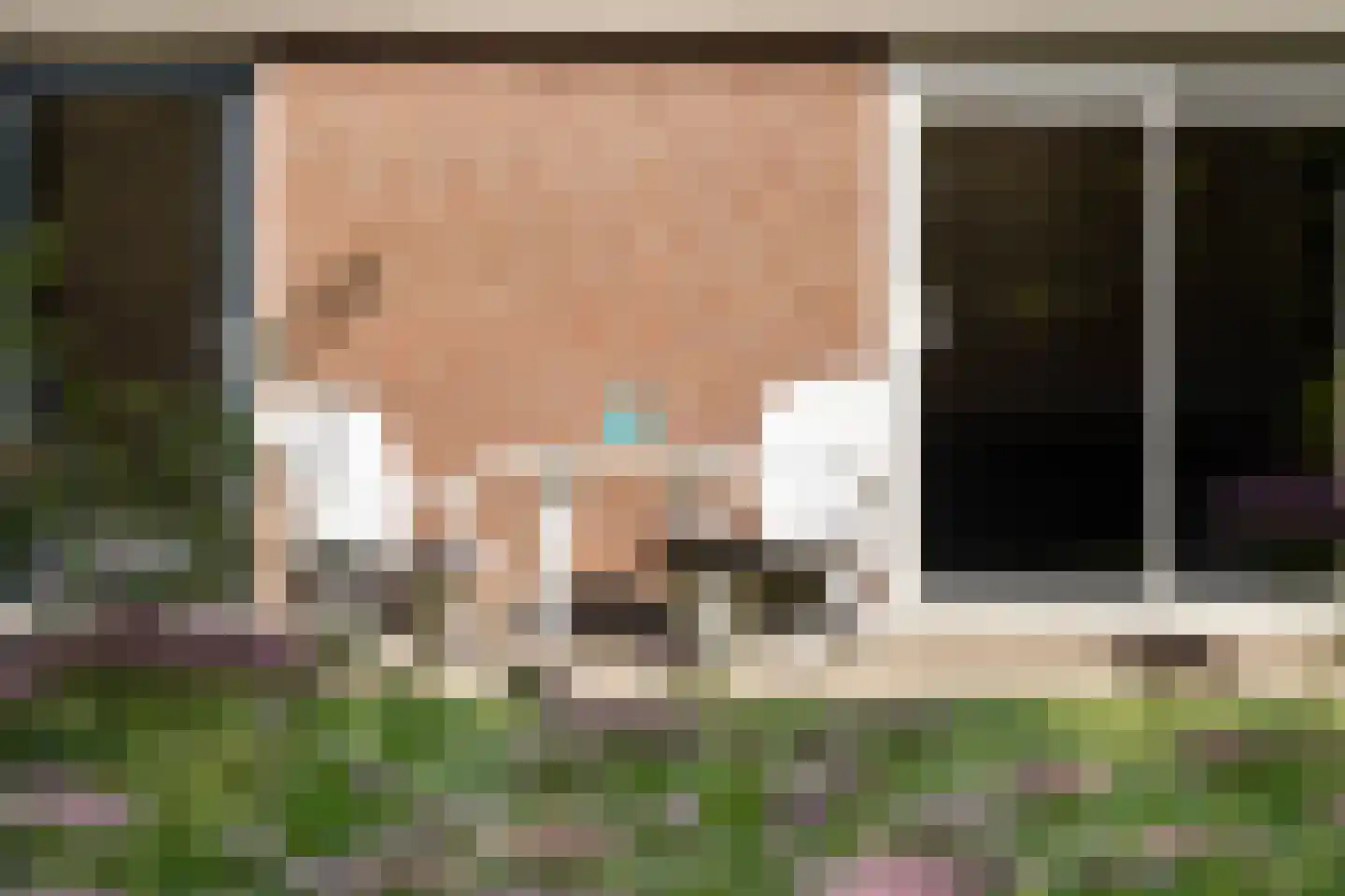 Lijster 16 Maasdam thumbnail 29