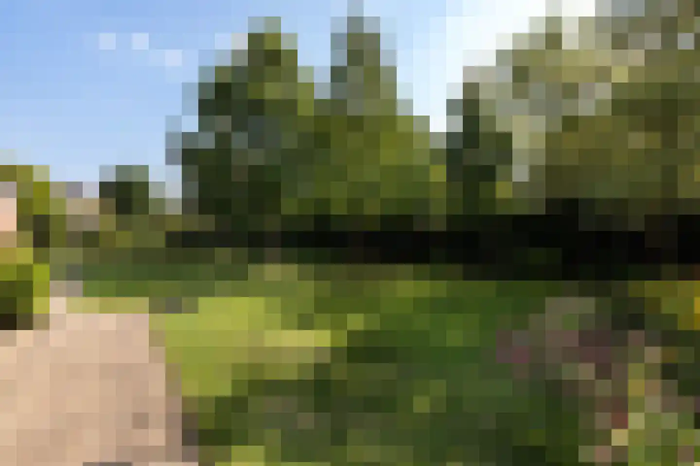 Lijster 16 Maasdam thumbnail 30