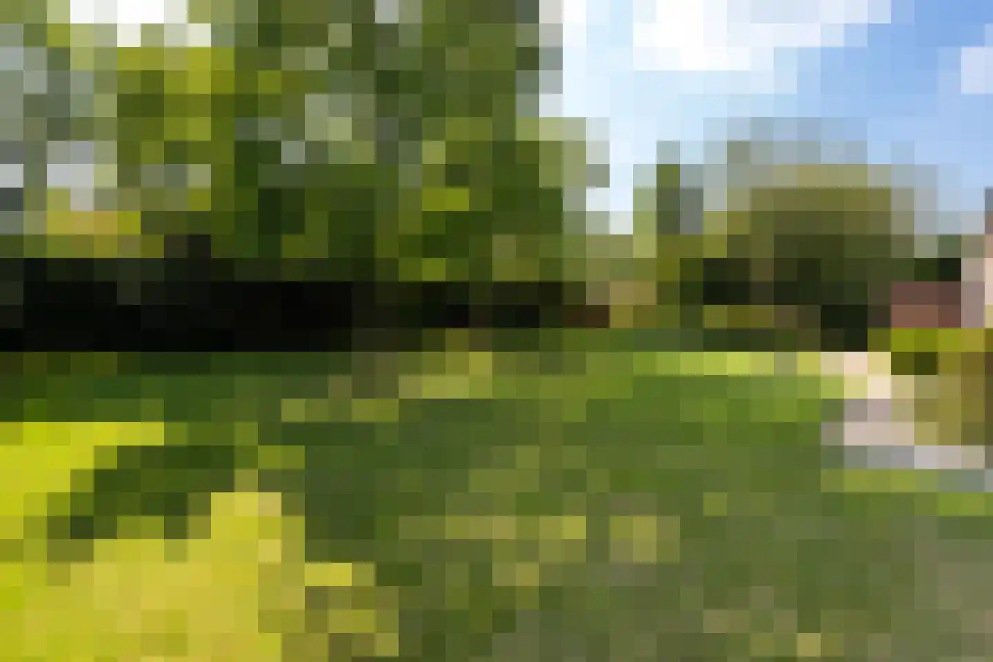 Lijster 16 Maasdam thumbnail 31