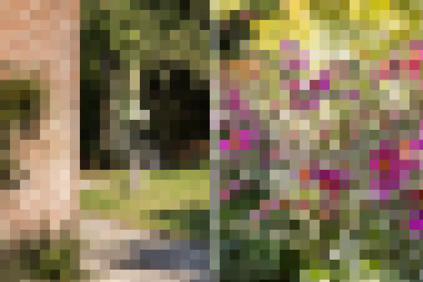 Lijster 16 Maasdam thumbnail 33
