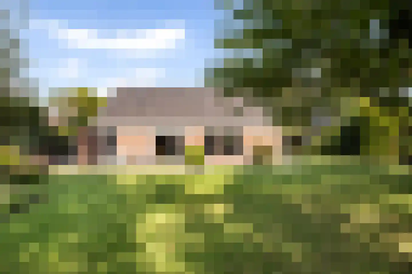Lijster 16 Maasdam thumbnail 35