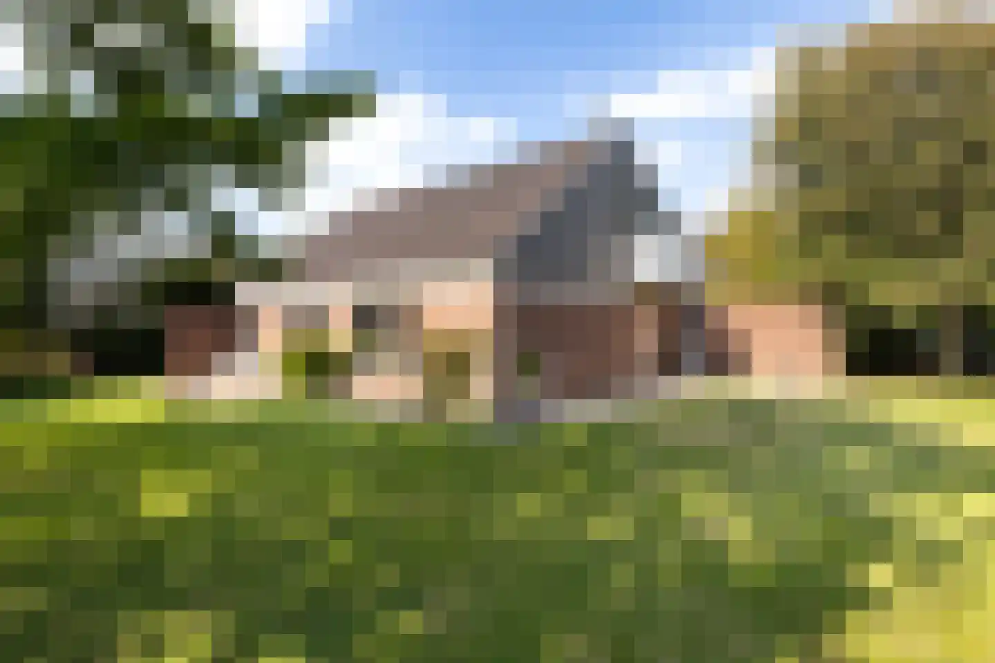 Lijster 16 Maasdam thumbnail 36