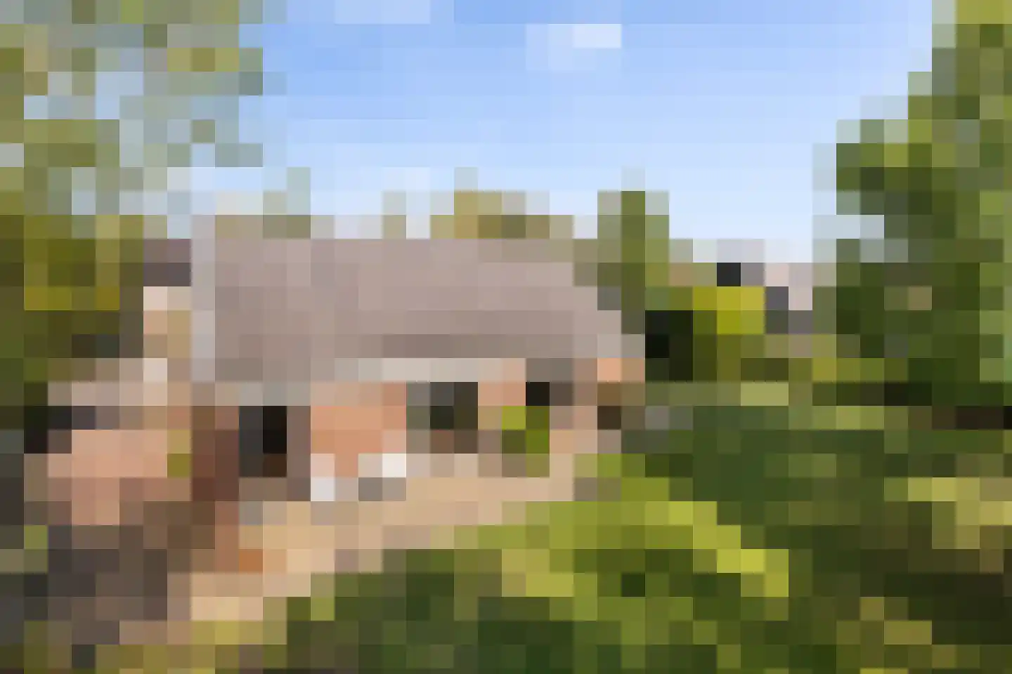 Lijster 16 Maasdam thumbnail 37