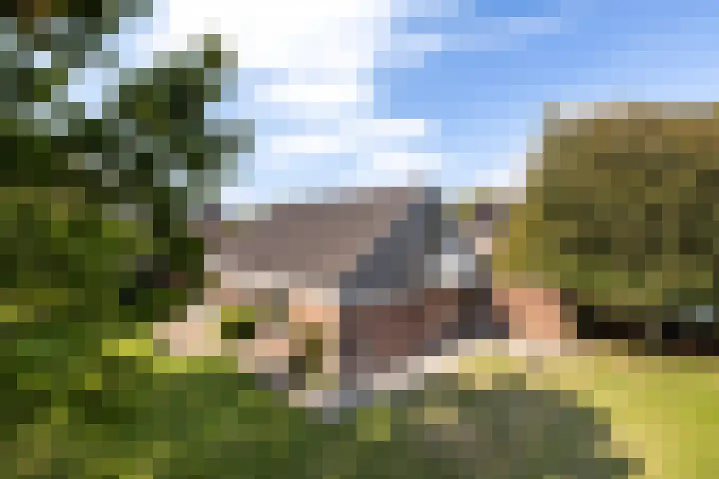 Lijster 16 Maasdam thumbnail 38