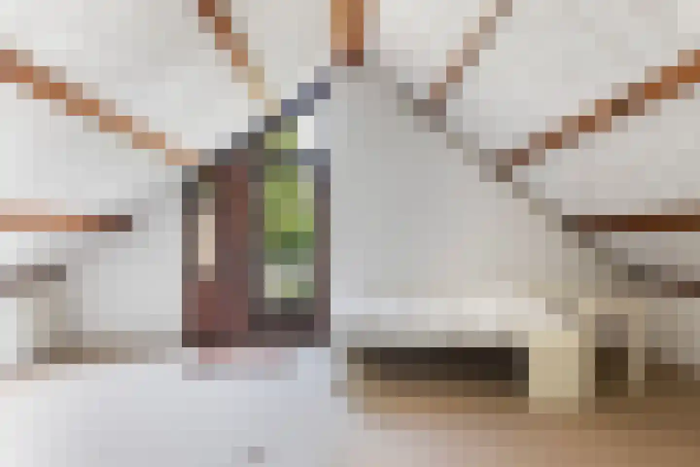 Lijster 16 Maasdam thumbnail 40