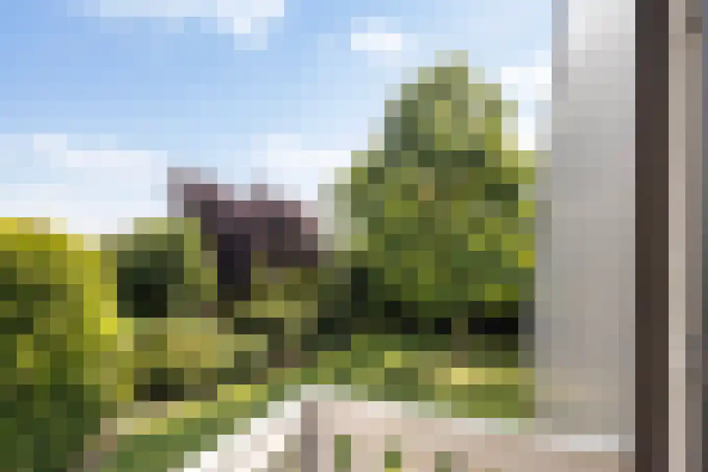 Lijster 16 Maasdam thumbnail 41