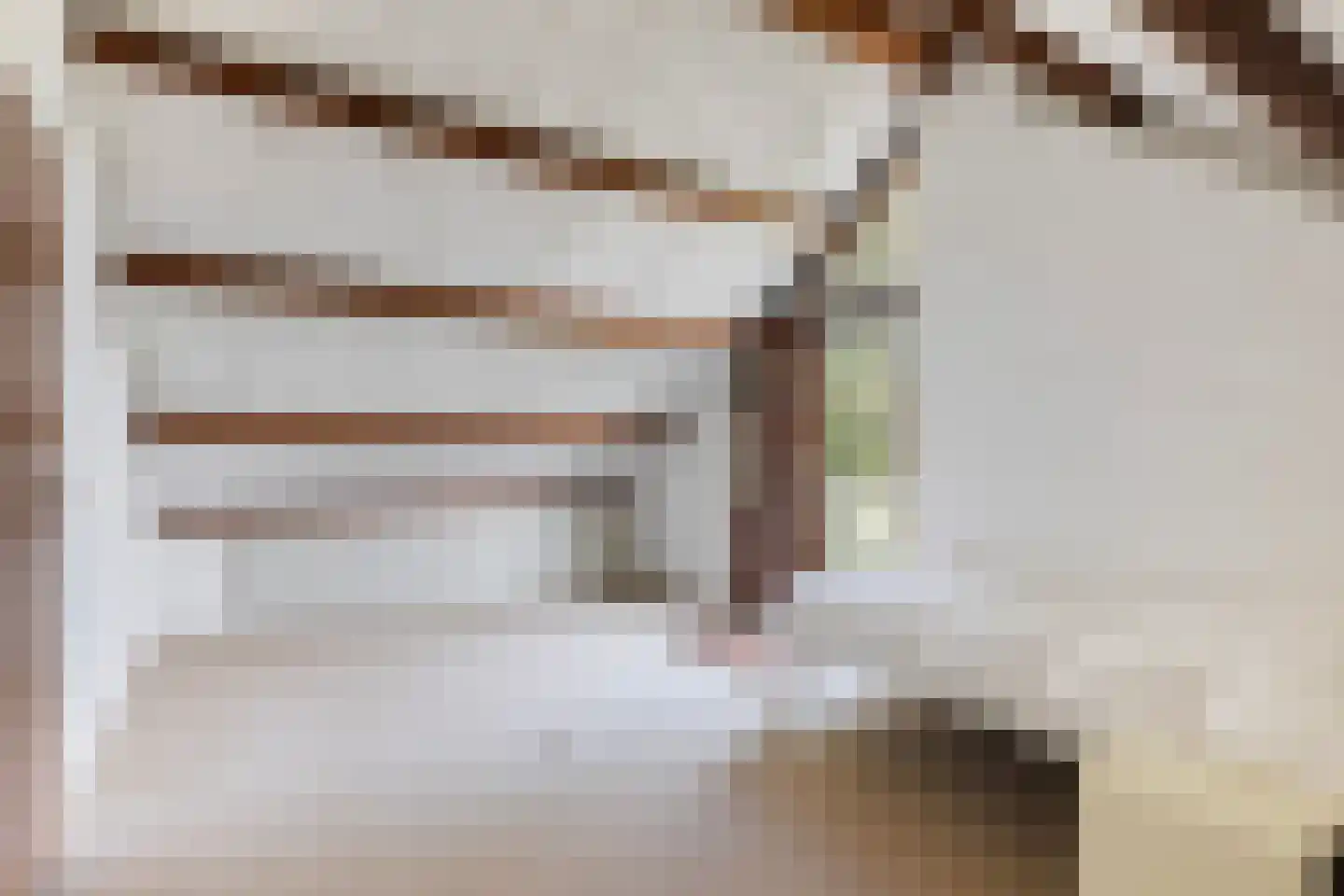 Lijster 16 Maasdam thumbnail 42