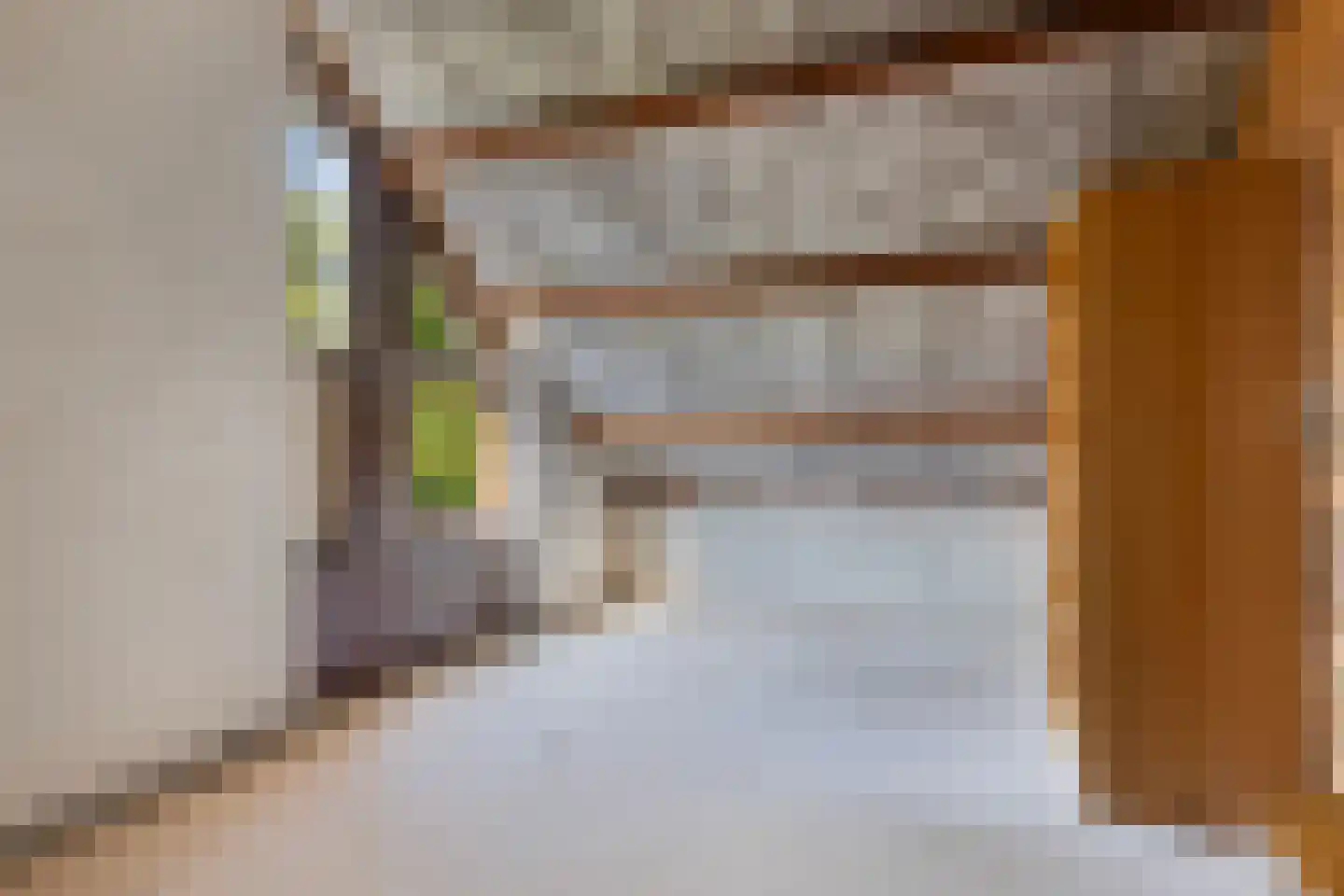 Lijster 16 Maasdam thumbnail 45
