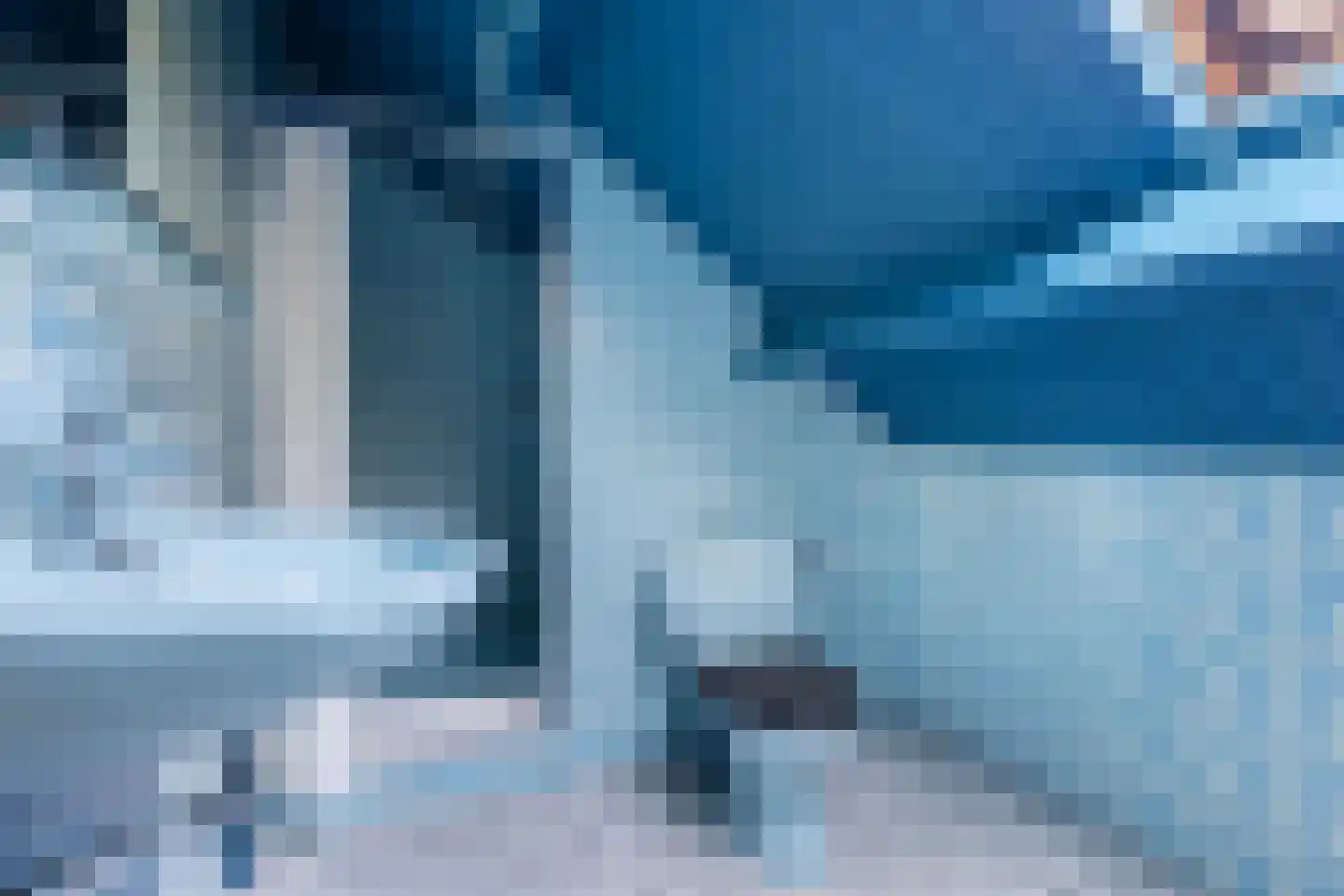 Lijster 16 Maasdam thumbnail 47