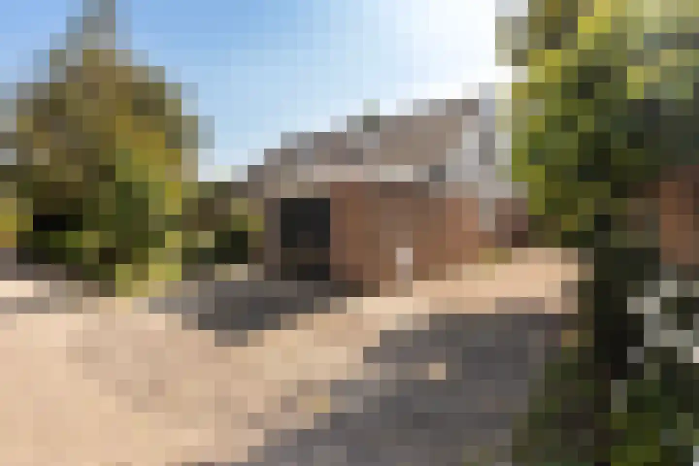 Lijster 16 Maasdam thumbnail 51