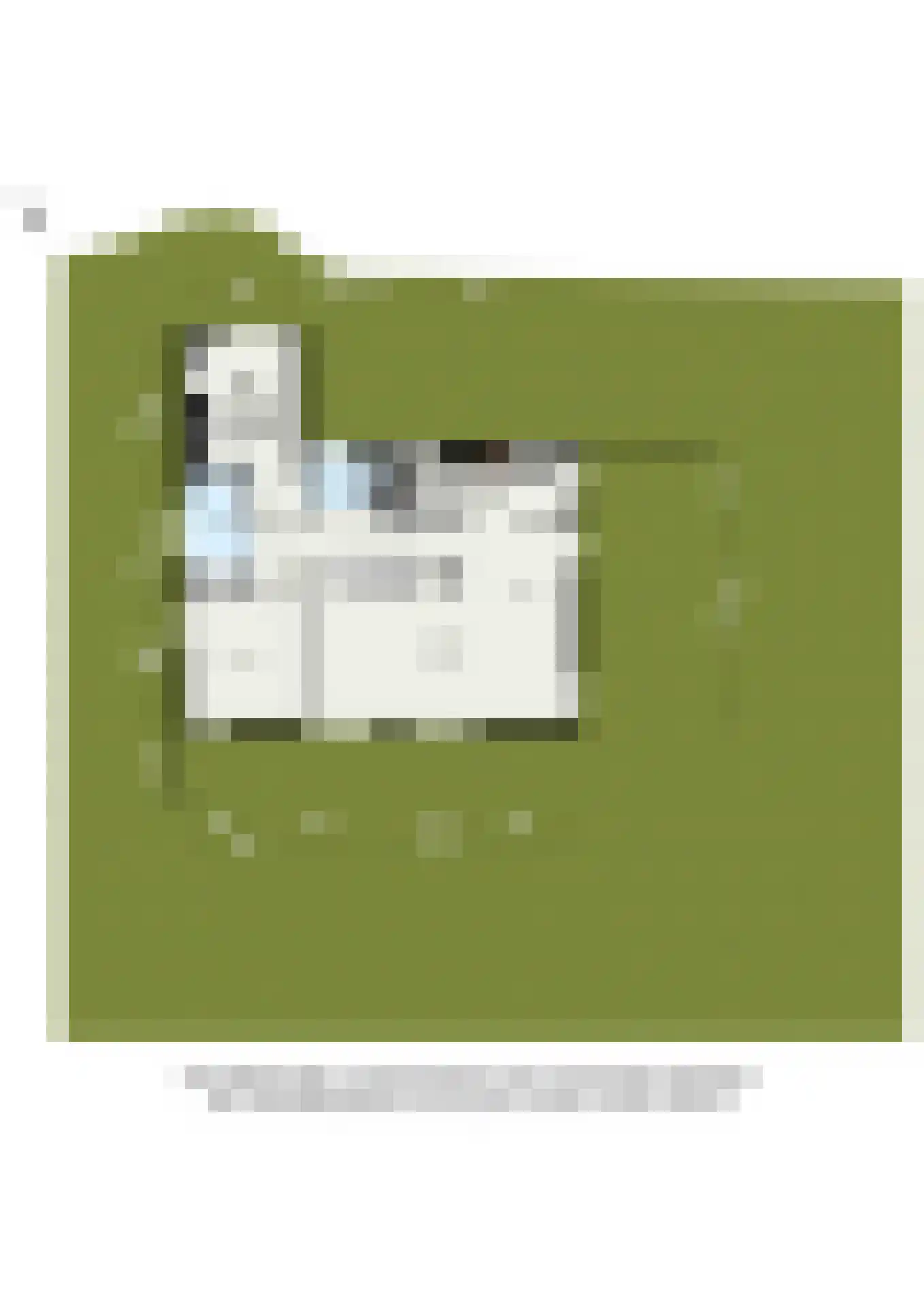 Lijster 16 Maasdam thumbnail 55