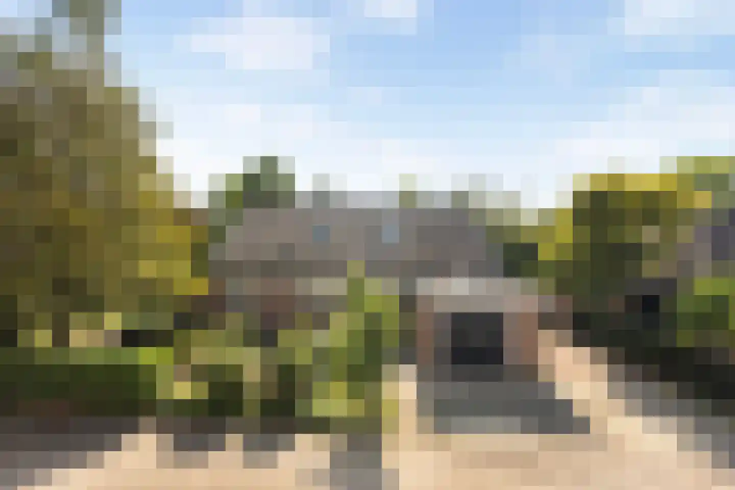 Lijster 16 Maasdam thumbnail 6