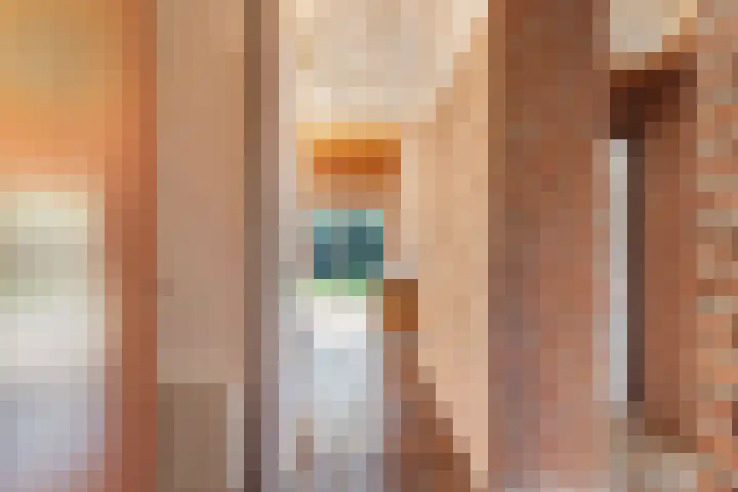 Lijster 16 Maasdam thumbnail 7