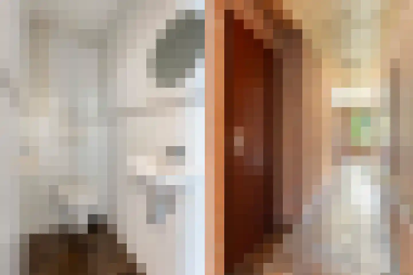 Lijster 16 Maasdam thumbnail 8