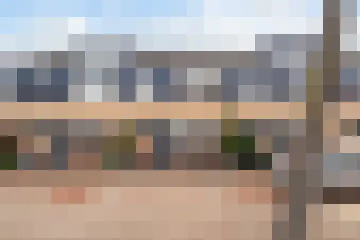 Lijster 17 in De Lier